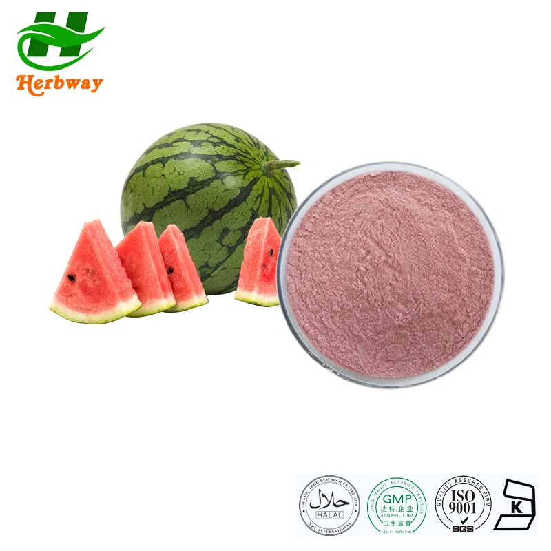 Herbway Kosher Halal Fssc HACCP Certified Fruit and Vegetable Juice Powder Watermelon Powder Citrullus Lanatus Powder