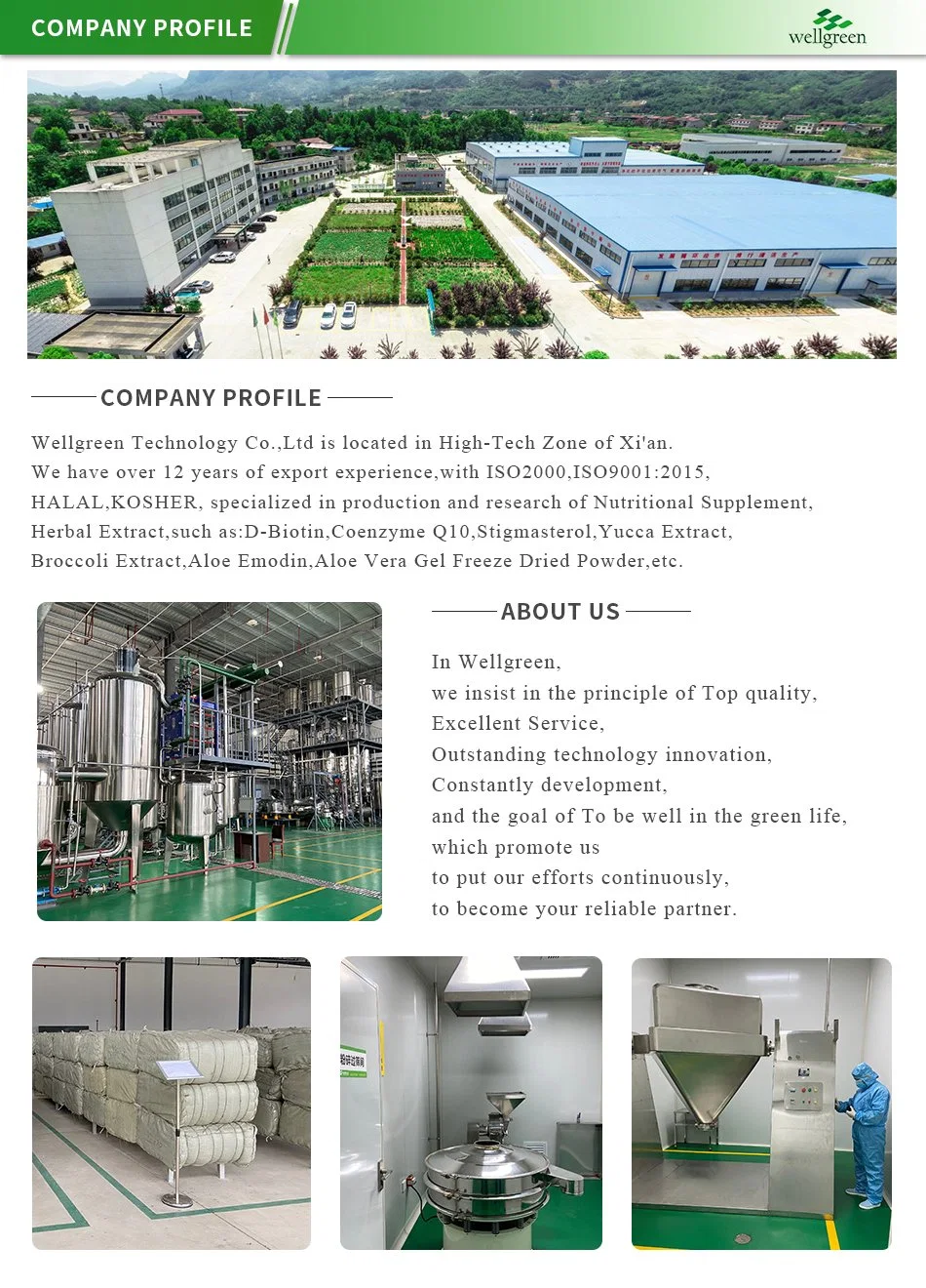 China Fruit Vegetable Powder Factory Supply Water Soluble Juice Green Melon Cantaloupe Powder