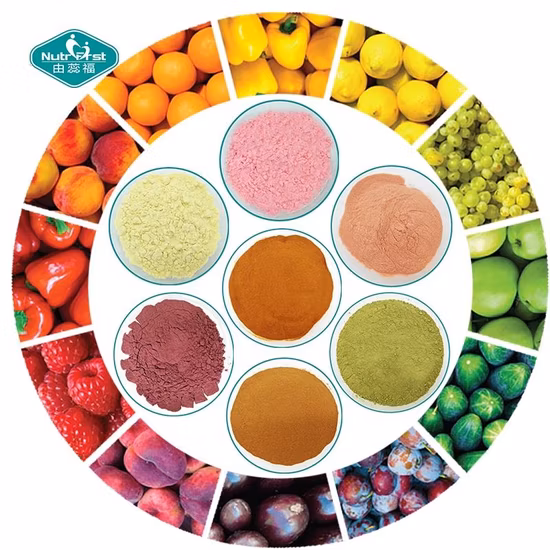Frutas y verduras en polvo Mezcla de frutas secas Jugo Mezcla en polvo Bebida Frutas orgánicas Mezcla en polvo