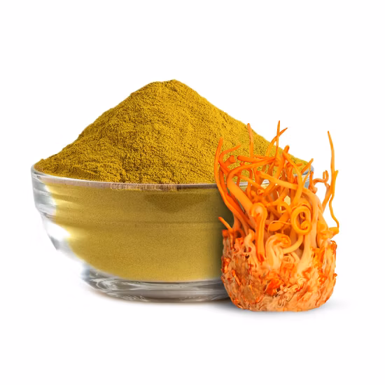 El extracto corporal de fruta de Cordyceps Militaris/Cordyceps Sinensis se puede personalizar
